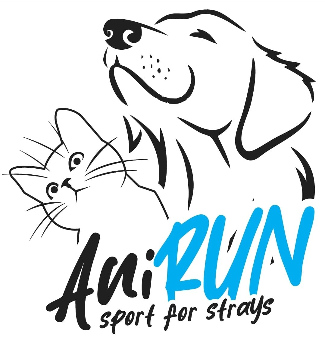 AniRUN aftershock