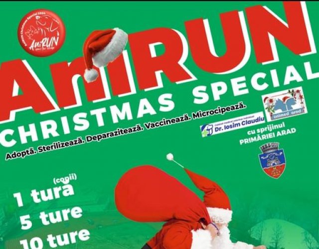 AniRUN Christmas Special