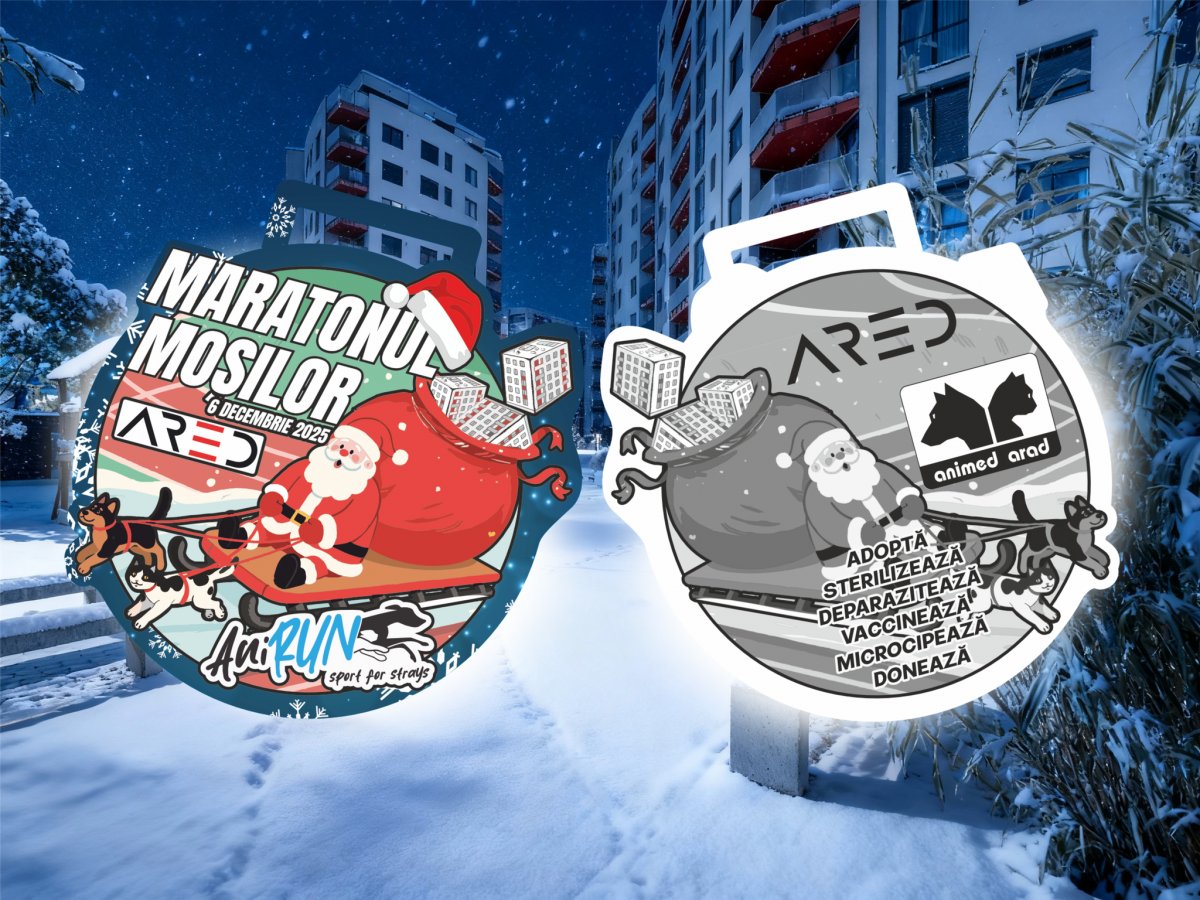 Maratonul mosilor