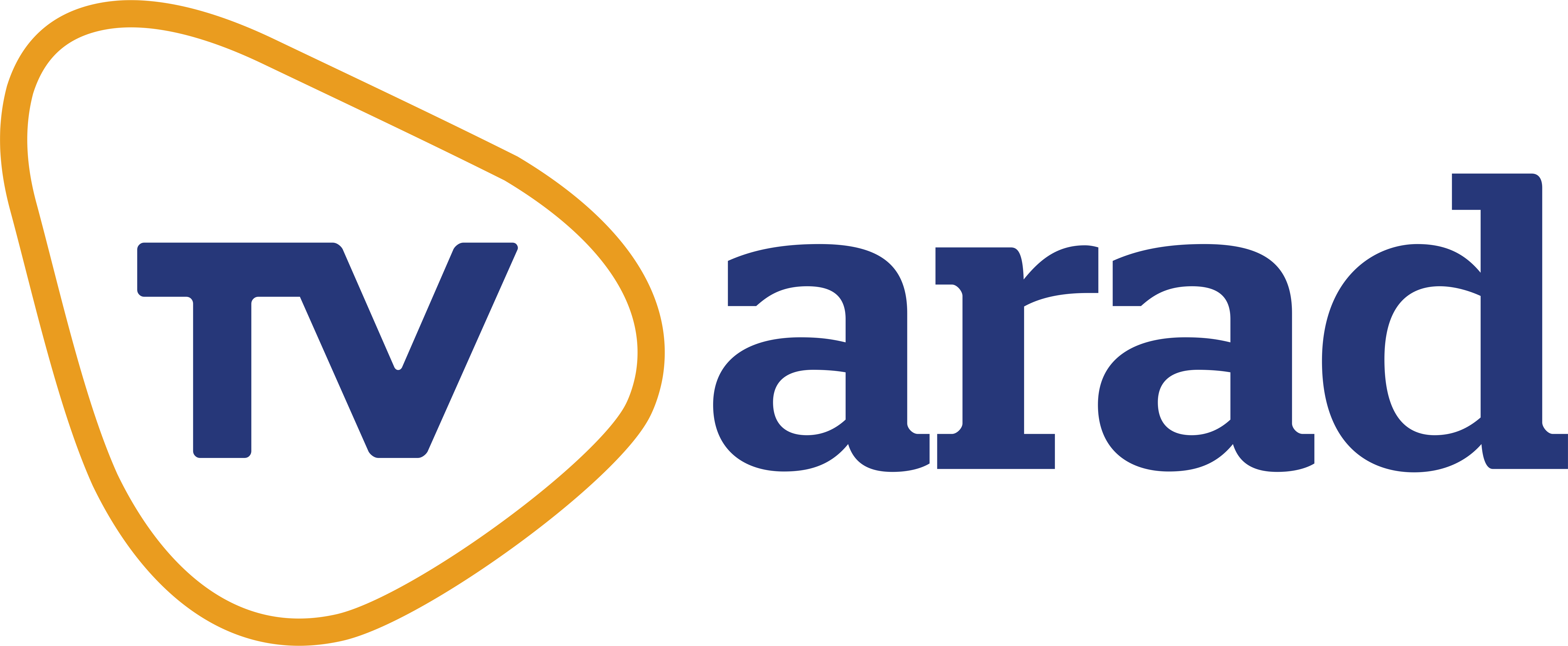 Tv Arad